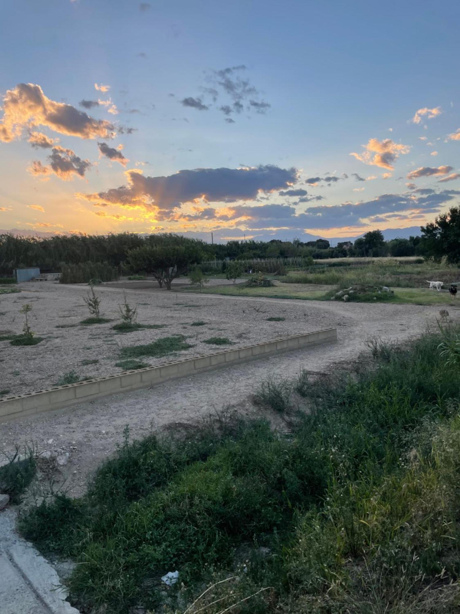 Emporda Country House Borrassá المظهر الخارجي الصورة